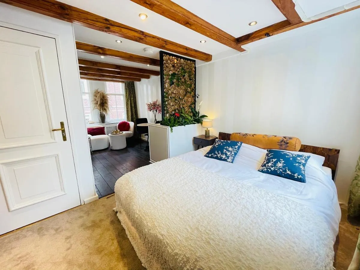 Luxury Suites The Enlightened House