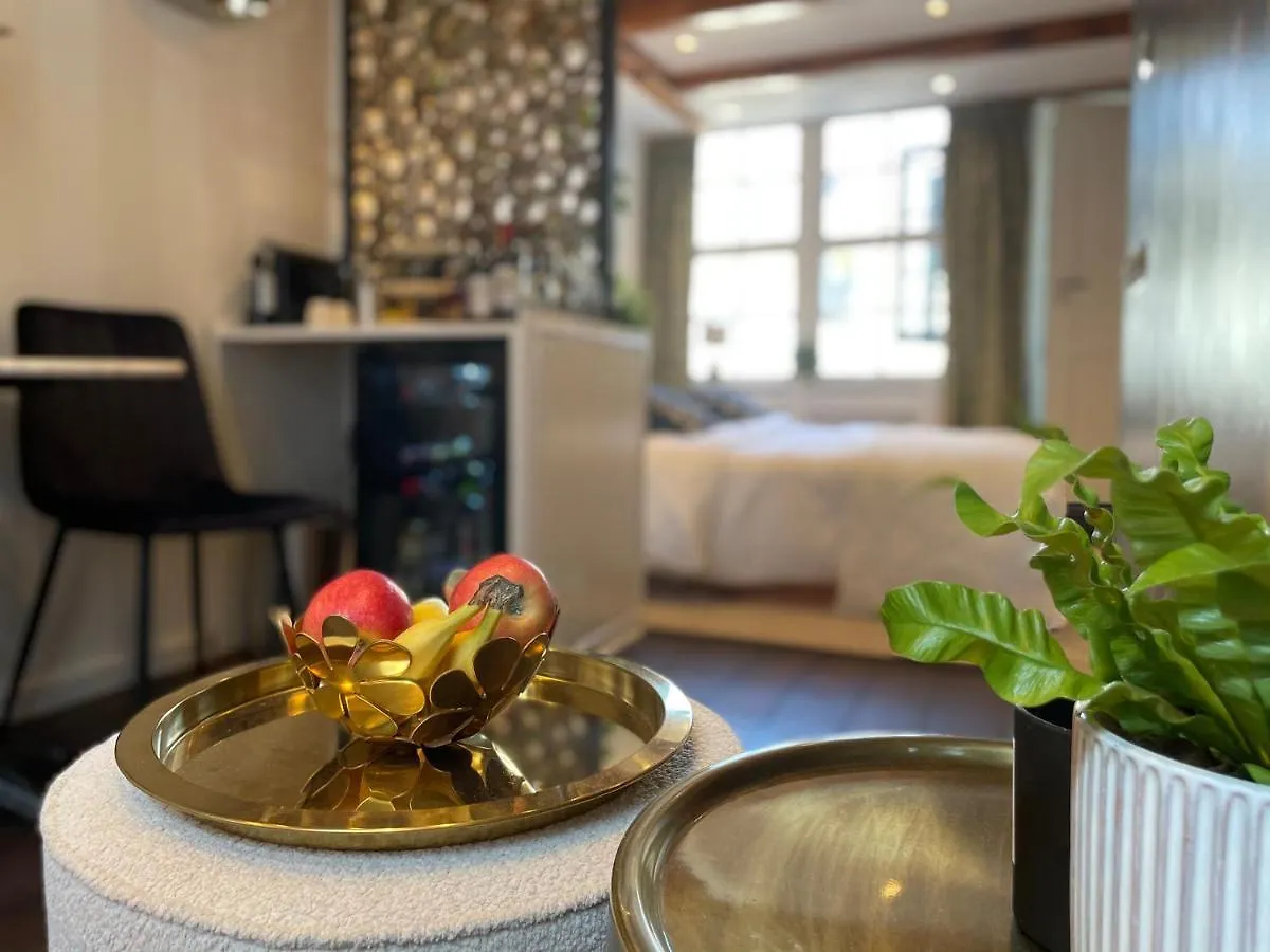 Bed & Breakfast Luxury Suites The Enlightened House Netherlands